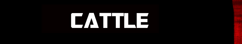 Winners