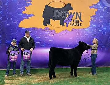 KCJ Angus Cattle